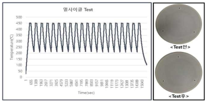 Y2O3, YOF, YF3 소재가 코팅된 AlN 히터의 450 ℃ 열사이클 평가 조건