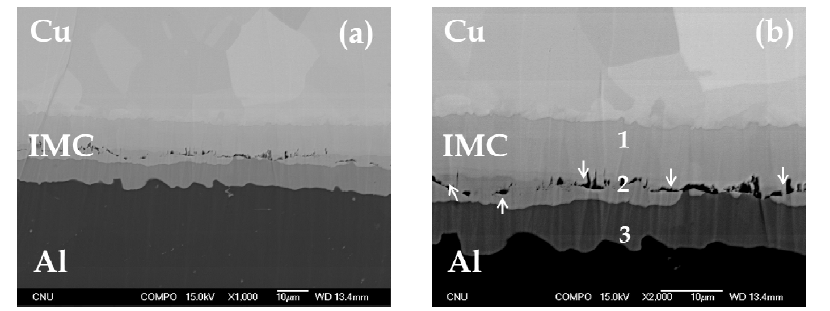 Back scattered electron images of Cu/Al/Cu composites after annealing at 500℃ for 3hrs