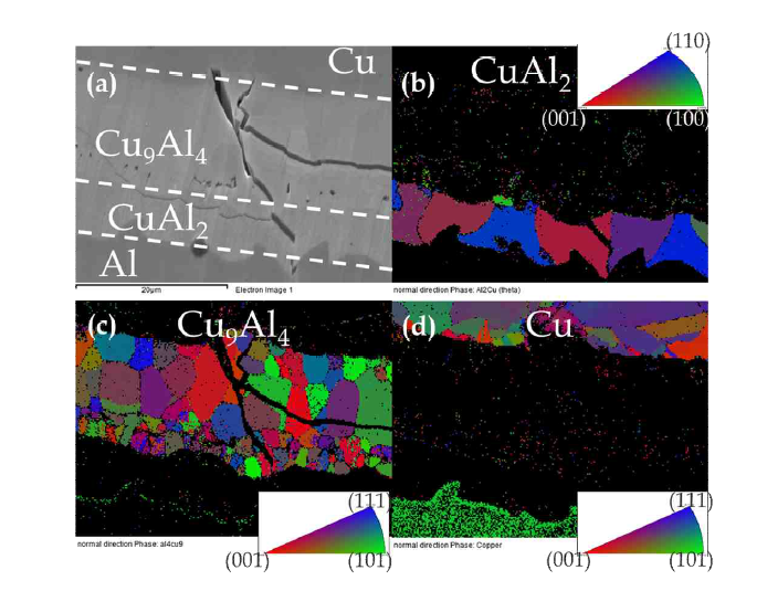 SEM (a) and EBSD images(b, c, d) of Cu/Al interface in clad metals annealed at500℃ 3hr after peeling test