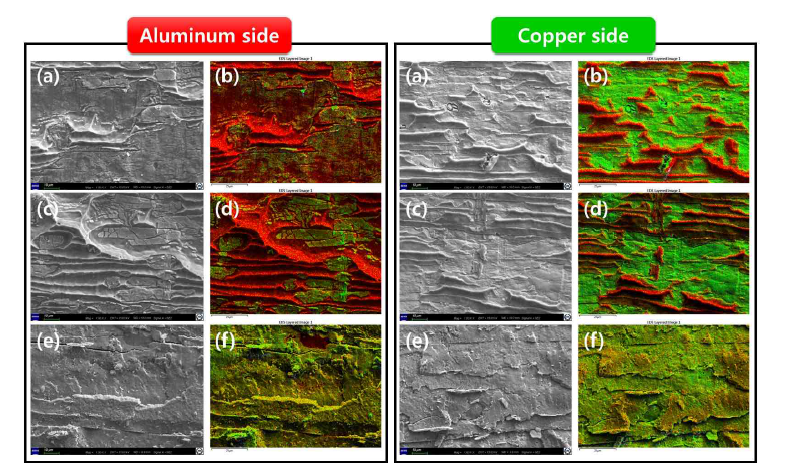 as-rolled, 300, 500℃ 에서 30분간 열처리한 시편을 10-4의 strain rate로 peeltest한 시편의 Al, Cu 면의 mapping 결과