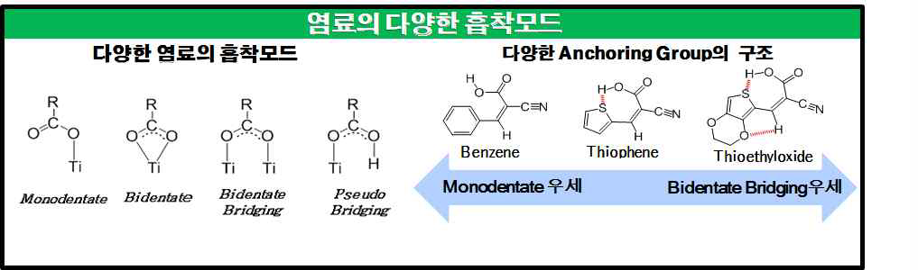 염료의 다양한 흡착모드