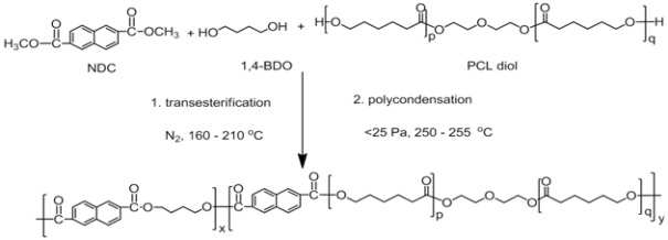 NDC/BD/PCL(MW 530)계 copoly(ether ester) 탄성체 제조