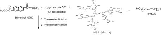 NDC/(BD/HBP 1k)/PTMG(MW 1000)계 copoly(ether ester) 탄성체 제조