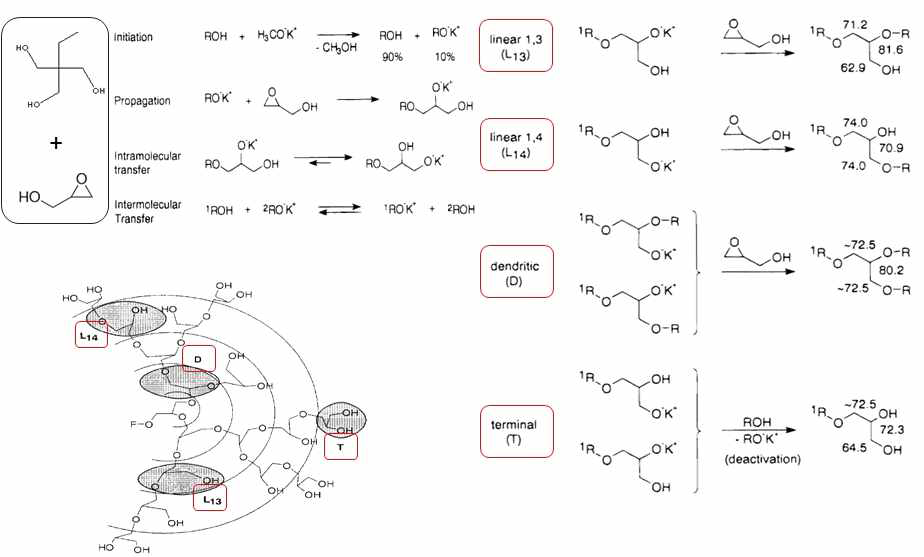 HBP의 NMR 분석을 통한 중합도 및 OH수/1분자