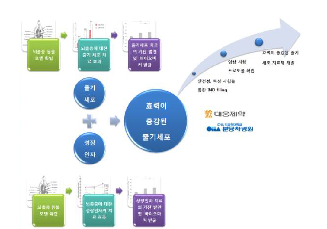 성장인자를 이용하여 효능을 증대시킨 뇌졸중 세포치료제 개발 모식도