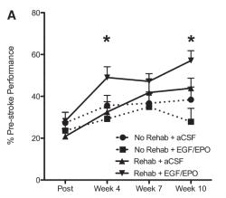 Rehabilitation과 함께 EGF + EPO 복합치료를 시행했을 때, 최대의 기능 회복을 보임(Stroke, 45(6), 2014)