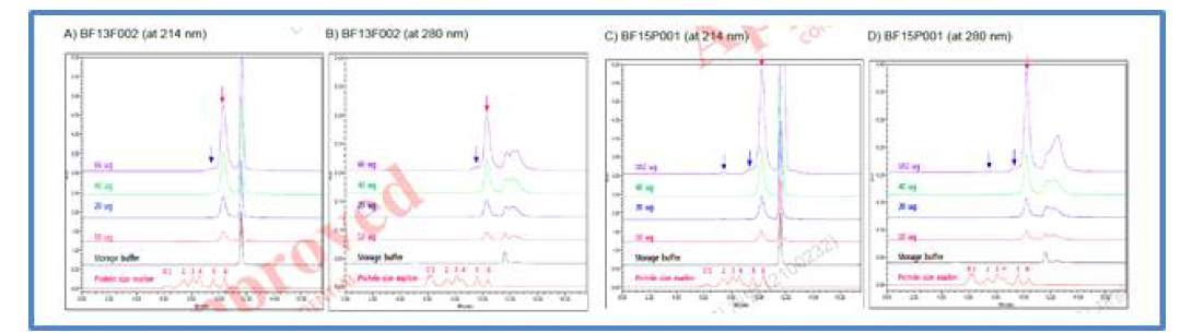 SEC-HPLC를 이용한 순도분석 비교: A), B), lab sacle 생산 원액 (BF13F002); C), D), pilotsacle 생산 원액 (BF15P001)