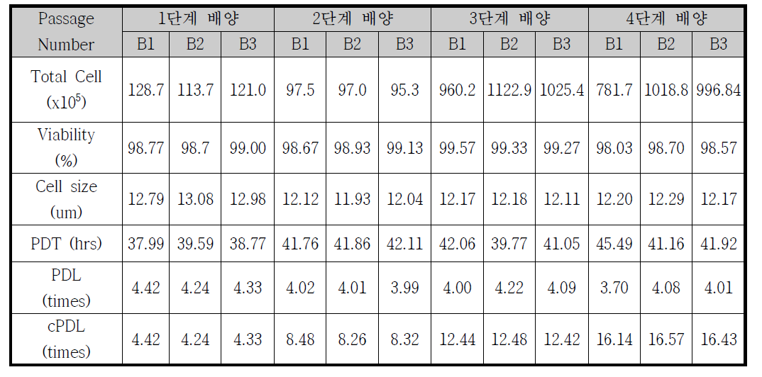 ES-MSC scale-down 배양모델에서 배양배치 분석 및 IPC 항목 설정