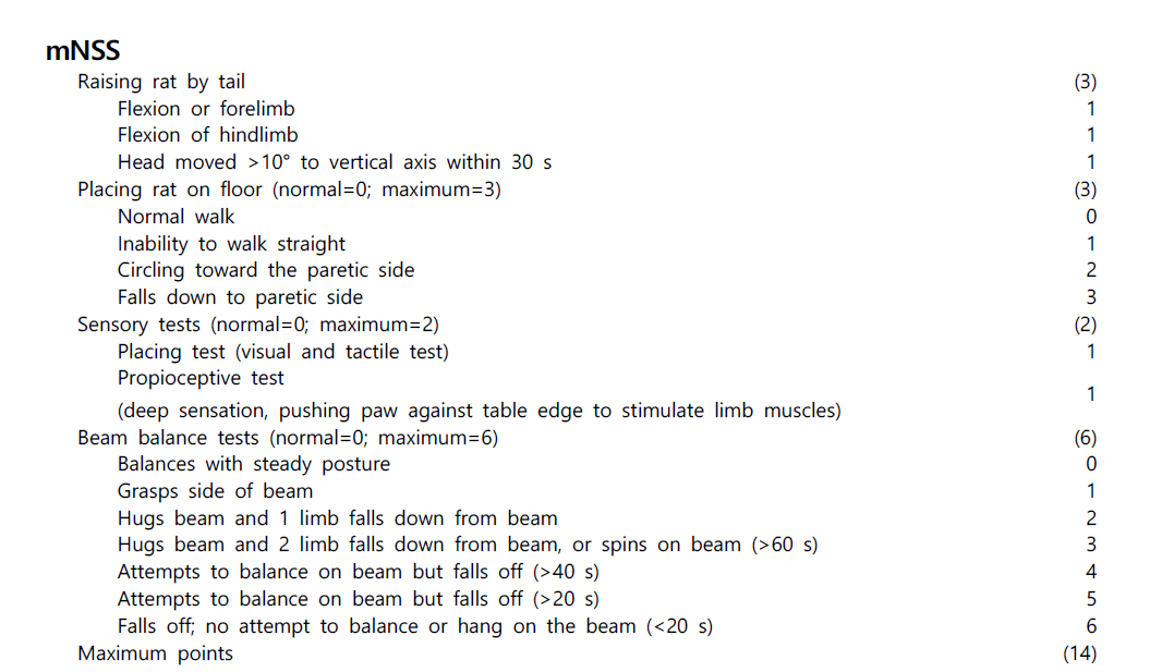 modified Neurological Severity Scores (신경학적 결손 척도, mNSS)