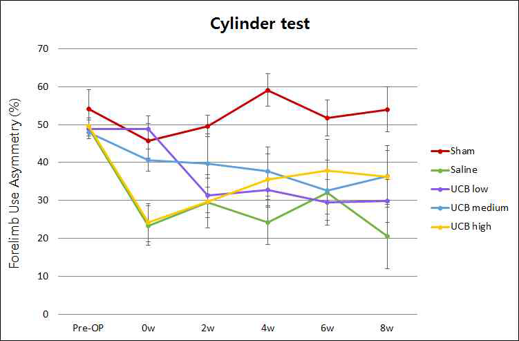 만성기의 cylinder test 평가 결과