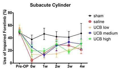 아급성기의 Cylinder Test 평가 결과