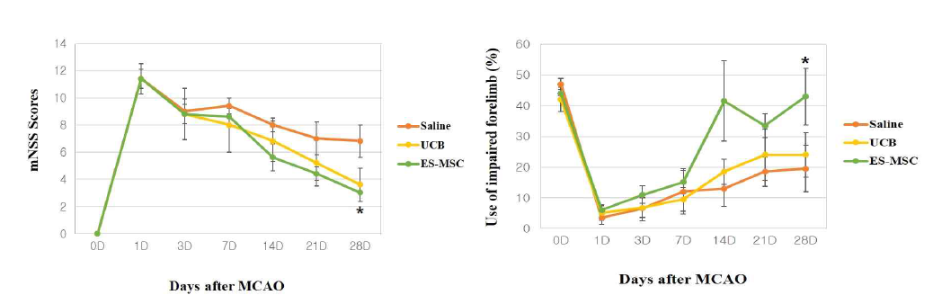 투여 세포 종류별 신경학적 행동변화 및 Cylinder 평가결과 (*P〈 0.05 vs, Saline group)