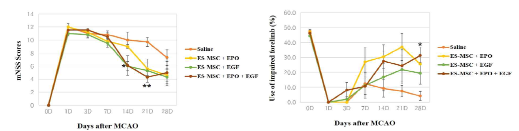 ES-MSC와 성장인자 종류별 복합투여에 따른 신경학적 행동변화 및 cylinder 평가 결과(* P < 0.05, ** P <0.01, *** P < 0.005 vs, Saline group)