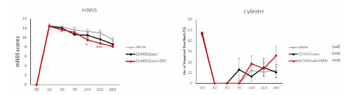 ES-MSC low dose 투여 및 EPO 복합투여 시 신경학적 행동변화 및 cylinder 평가 결과(* P < 0.05, ** P <0.01, *** P < 0.005 vs, Saline group)