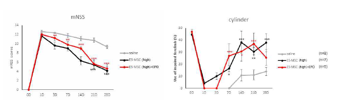 ES-MSC high dose 투여 및 EPO 복합투여 시 신경학적 행동변화 및 cylinder 평가 결과(* P < 0.05, ** P <0.01, *** P < 0.005 vs, Saline group)