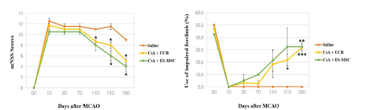 면역억제 조건에서 투여 세포 종류별 신경학적 행동변화 및 cylinder 평가 결과(* P < 0.05, ** P <0.01, *** P < 0.005 vs, Saline group)