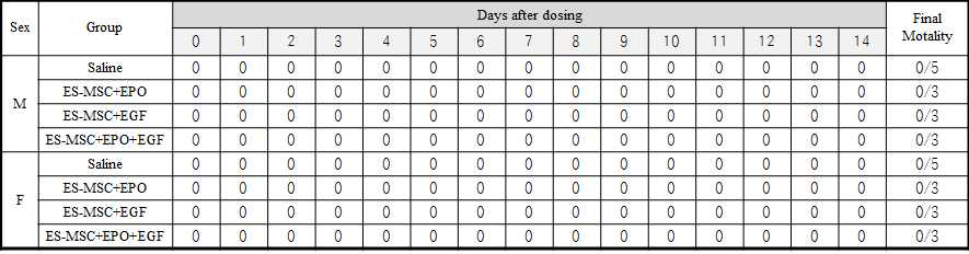 사망동물(ES-MSC + 성장인자 복합투여 독성평가)