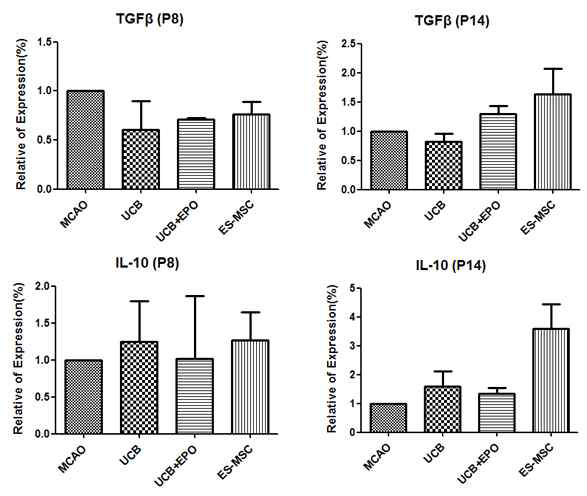 줄기세포 투여 후 Anti-inflammatory cytokine의 변화