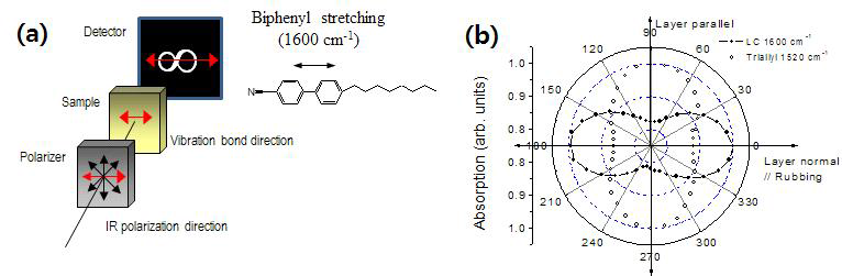 (a) FT-IR dichroism을 이용한 분자정렬 분석 원리 및 (b) 측정 예