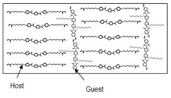 Host 및 guest 재료의 분자 정렬 모식도