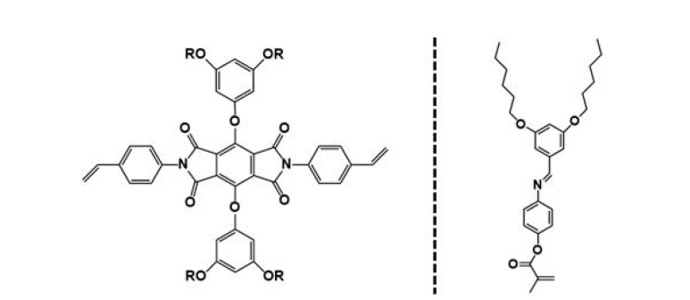 제안된 신규 게스트 중합성 액정의 지지체의 분자구조