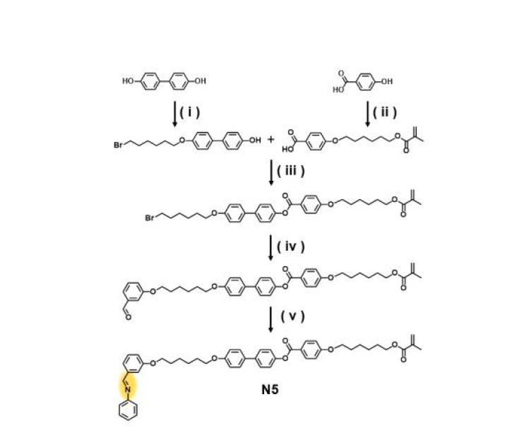 신규 게스트 분자(N5)의 합성 경로