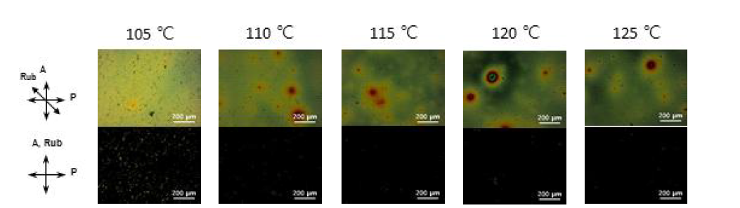N2(40 wt%) guest 혼합물 UV 경화 온도에 따른 POM picture