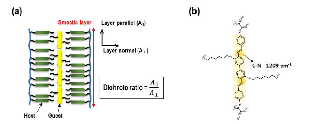 (a) 호스트-게스트 분자 정렬 모식도 (b) 게스트 분자 구조와 흡수 픽 (peak)