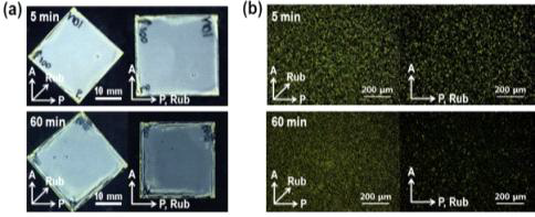5, 60분 동안 aging 과정을 거쳐 제작한 보상필름의 (a) crossed polarizer 및 (b) POM 사진