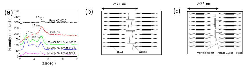 (a) Host HCM026, guest N2, N2(50 wt%)혼합물 SAXS stpectra, (b)와 (c)는N2(50 wt%)혼합물의 분자정렬 모식도