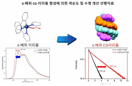 CG리간드설계에 의한 장수명 전략에 따른 리간드설계