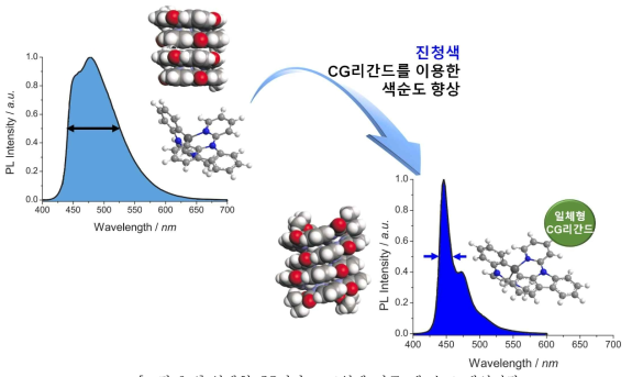 일체형 CG리간드 도입에 따른 색 순도 개선전략
