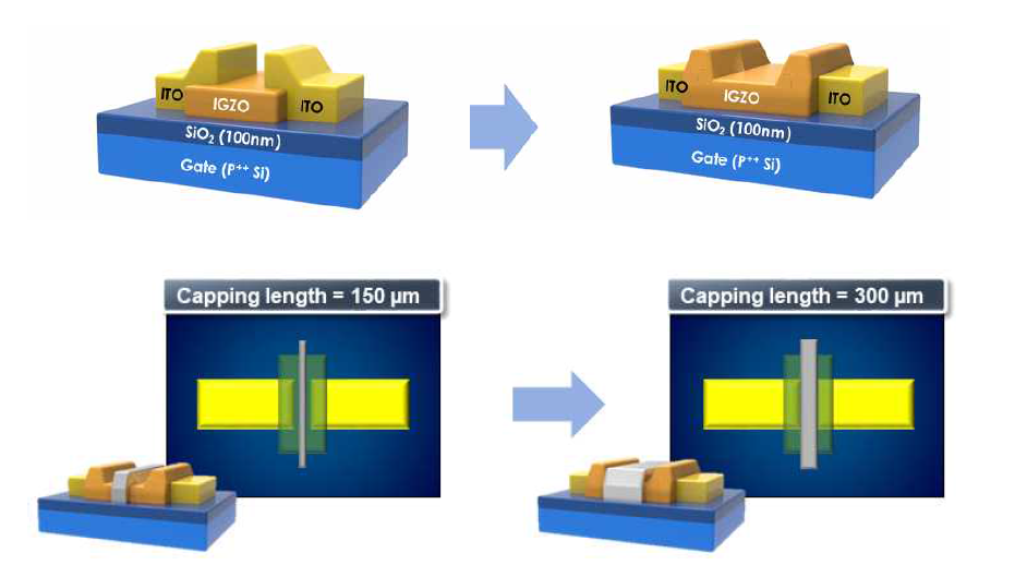 Ta CL의 길이를 증가시킨 IGZO TFT 소자 구조 모식도