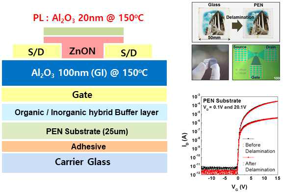 PEN 기판 위에 제작한 ZnON 소자 구조, Glass 기판에서 delamination된sample 및 transfer curve