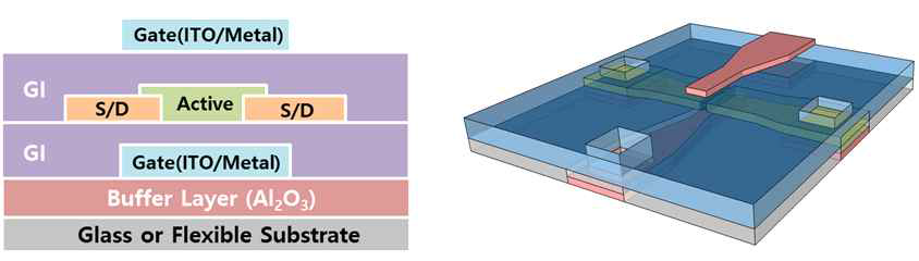 Dual Gate 구조의 Schematic Device Structure (2D & 3D)