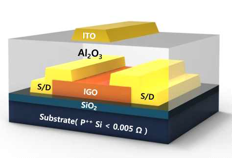 Dual gate IGO 소자 구조
