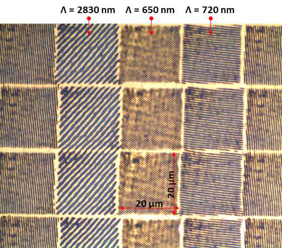 PR 두께 100 nm의 20x20 μm2 Micro-Dot Holograms