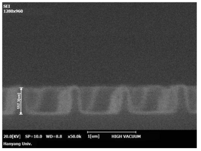 Micro-Dot Holograms 두께의 SEM 이미지