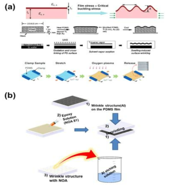 (a)열팽창 계수를 이용한 PDMS 특성 활용 (b) 주름구조의 Imprinting 및 Etching 과정