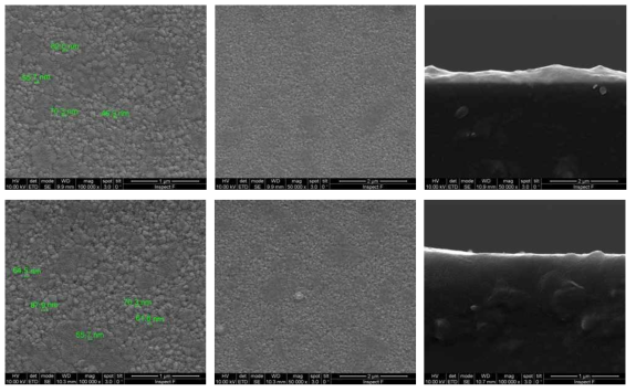 Ag 80nm 증착 후, Oven에 annealing 90℃, 30min / 60min 조건, SEM image 촬영