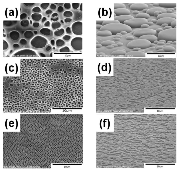 다공성 박막 필름 및 nano lens 필름 SEM 이미지