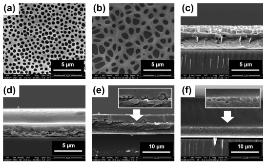 FE-SEM 이미지; (a) NPF 정면, (b) x-NPF 정면, (c) x-NPF 측면, (d) NPF와 고굴절 평탄층으로 구성된 다층 구조, (e) x-NPF와 고굴절 평탄층으로 구성된 다층 구조, (f) x-NPF와 저굴절 평탄층으로 구성된 다층 구조