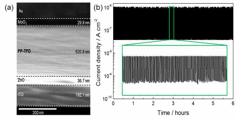 (a) 녹색광 선택성 광다이오드의 단면 TEM 이미지 및 (b) 색광에 6시간동안 노출시킨 샘플의 전류밀도-시간 그래프 (주파수 : 1 Hz, 광원의 세기 : 2.4×10-5 W/cm2)