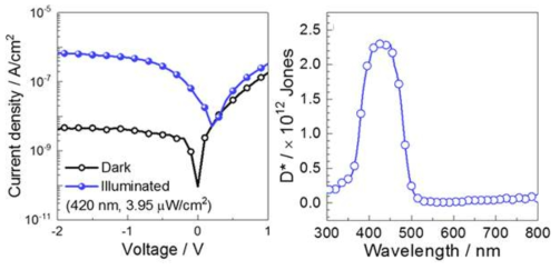 상기 다이오드의 빛의 유무에 따른 J-V 특징(왼쪽) 및 파장별 검출능 스펙트럼