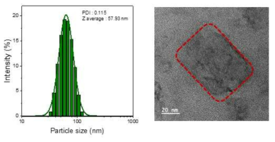 본 연구에 제시된 나노입자의 사이즈 분석(좌) 및 transmission electron microscopy 이미지 사진(우)