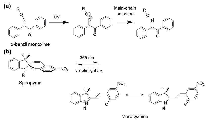 (a) Alpha-benzil monoxime 구조와 (b) spiropyran 구조의 UV 조사 전/후의 구조 변화를 보여주는 scheme