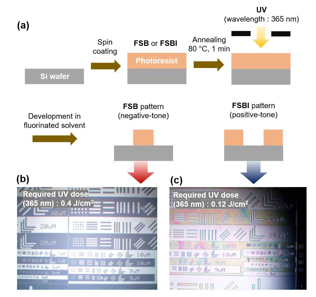 (a) Si wafer 위에서의 FSB와 FSBI_x (x= FREE, RAFT)를 이용한 photolithographic-patterning 공정. (b) FSB와 (c) FSBI_RAFT의 패턴을 형성한 박막의 광학 현미경 image