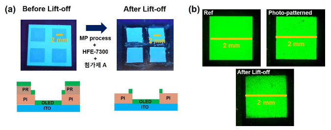 FSBI_RAFT 감광재료와 RF-IPDI-NH2 고불소화 단분자 바인더를 사용한 실험의 (a) lift-off 전 (왼쪽)과 MP 공정을 포함한 lift-off후 (오른쪽)의 PL 이미지, (b) 공정을 거치지 않은 소자 (Ref), photo-patterning 까지만 거친 소자 (Photo-patterned), lift-off 공정까지 진행한 소자 (After Lift-off)의 EL image