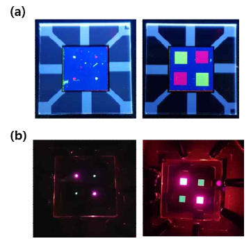 적 녹 2색 발광화소 패터닝 시 두 종류 기판에 대한 (a) PL 이미지와 (b) 소자 구동 시 EL 이미지