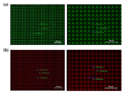 Lift-off공정을 통한 10 μm 발광화소 패터닝 소자 발광이미지 (a) 녹색 10μm 화소 (b) 적색 10 μm 화소